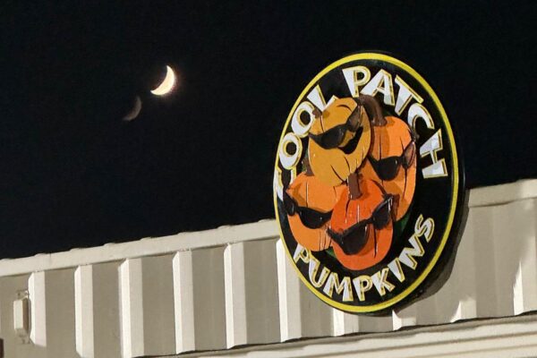 Cool Patch Pumpkins 3D signage