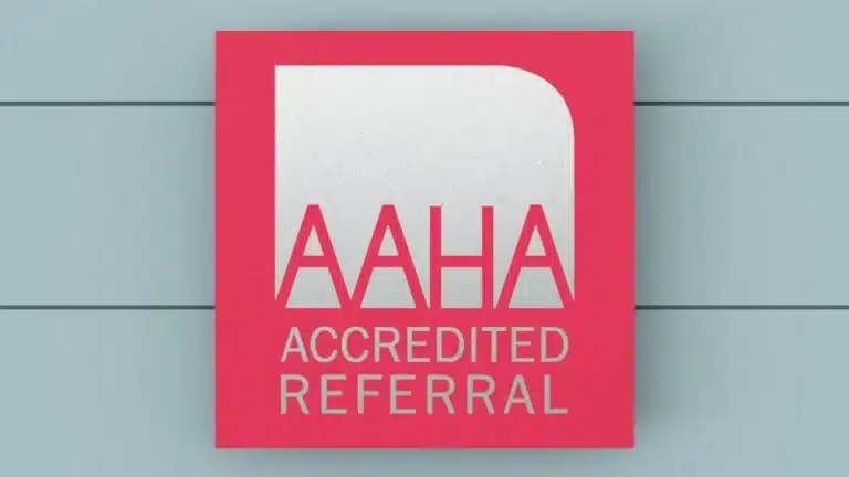 American Animal Hospital Association