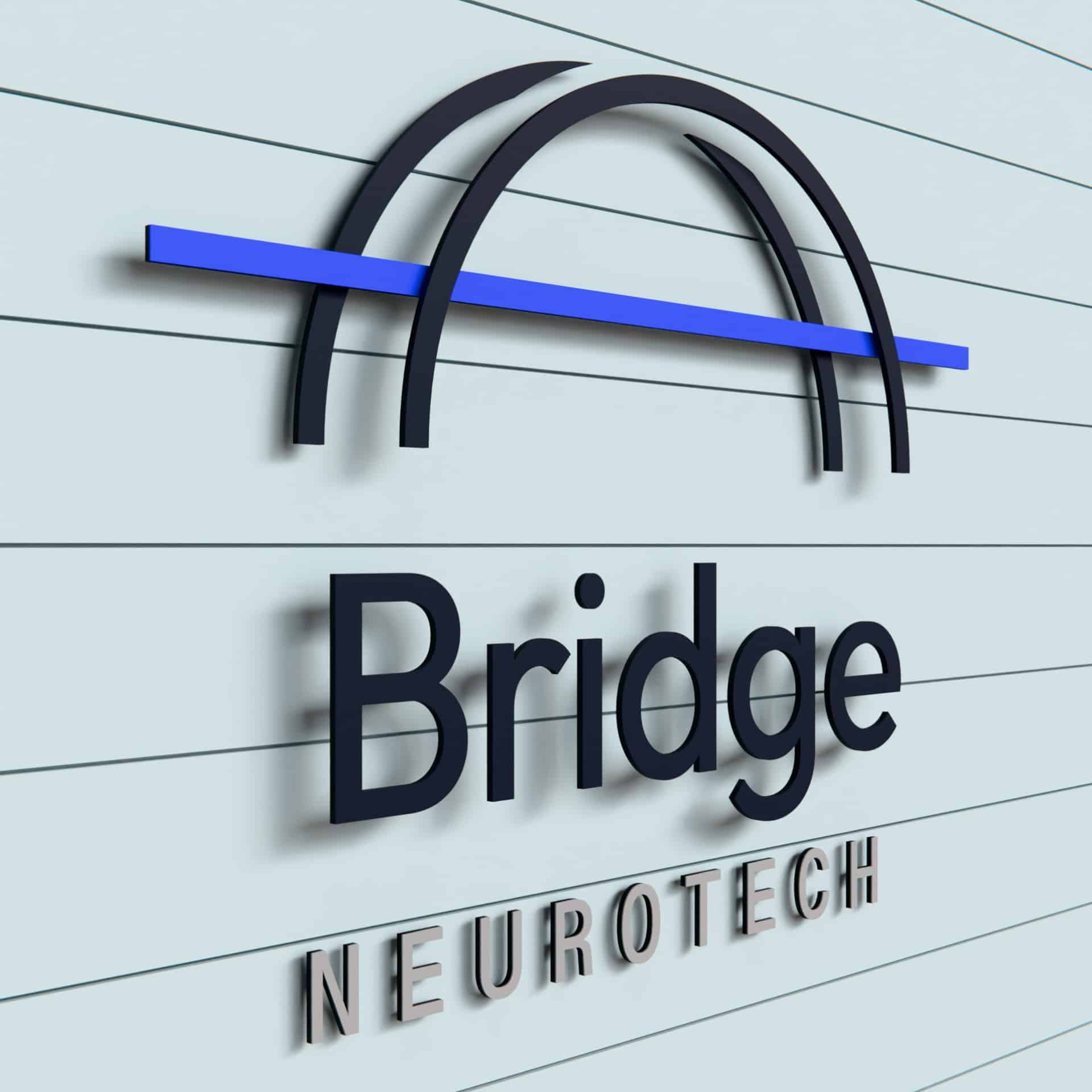 Bridge Neurotech, Inc.