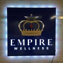 Empire Wellness edge-lit sign with a gold crown above the name on a navy panel, halo-lit LED and glowing white.