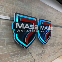 The pair of Mass Aviation shields from an angle, both halos switched to blue.