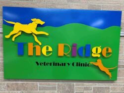 The Ridge Veterinary Clinic sign with a yellow dog leaping over green hills under a blue sky.