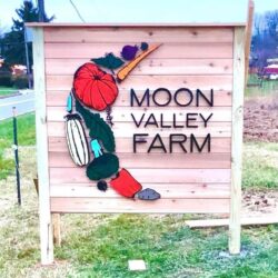 Moon Valley Farm roadside sign on timber posts, layered vegetables spilling beside the painted name.
